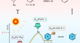 Photocatalyst-free aryl halides reduction using visible light - Advances in Engineering