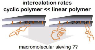 Blocking the Intercalation of Cyclic Poly(ethylene oxide)s into Graphite Oxide for Separation Performance - Advances in Engineering