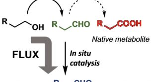 Merger of Whole Cell Biocatalysis with Organocatalysis Upgrades Alcohol Feedstocks in a Mild, Aqueous, One-Pot Process - Advances in Engineering