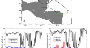 Influence of observed daily variations and extreme meteorological events in salinity gradients of natural environments - Advances in Engineering