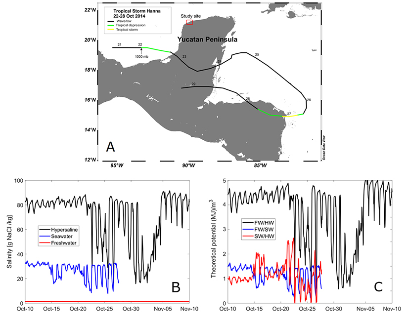 Influence of observed daily variations and extreme meteorological events in salinity gradients of natural environments - Advances in Engineering