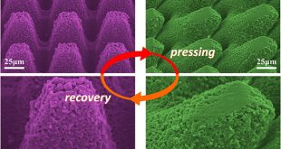 Superhydrophobicity-memory surfaces prepared by a femtosecond laser - Advances in Engineering