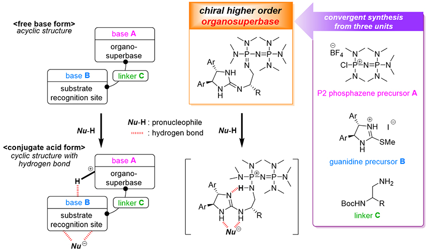 Chiral Higher Order Organosuperbase For Catalytic Enantioselective Transformation - Advances in Engineering