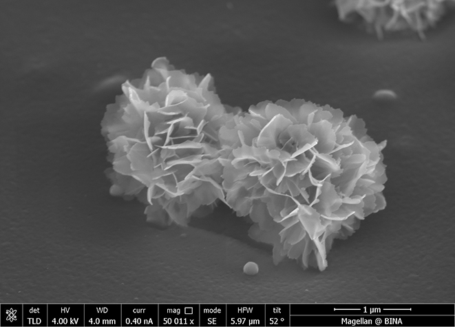 Engineering of new durable cross-linked poly (styryl bisphosphonate) thin coatings onto polypropylene films for biomedical applications - Advances in Engineering Engineering of new durable cross-linked poly (styryl bisphosphonate) thin coatings onto polypropylene films for biomedical applications - Advances in Engineering