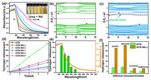 Edge functionalization of terminal amino group in carbon nitride by in-situ C–N coupling for photoreforming of biomass into H2 - Advances in Engineering