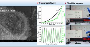 Flexible Sensor based on Three Dimensional Polymer Nanocomposites - Advances in Engineering