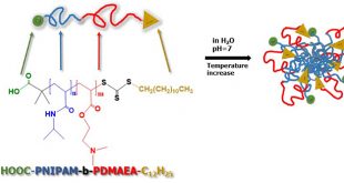 Nanostructural transformations in block copolymer aqueous solutions under different stimuli: environmental response regulation via chemical functionality and end groups placement - Advances in Engineering