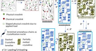 Constitutive Modeling of Polymers with Reversible Actuation - Advances in Engineering