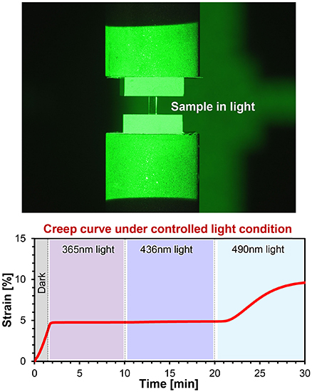 Light dependent creep deformation of an inorganic semiconductor at room temperature - Advances in Engineering