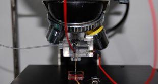 Effects of competitive anion adsorption (Br- or Cl-) and semiconducting properties of the passive films on the corrosion behavior of the additively manufactured Ti–6Al–4V alloys - Advances in Engineering