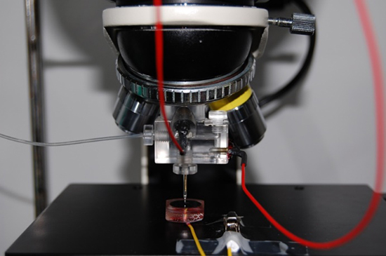 Effects of competitive anion adsorption (Br- or Cl-) and semiconducting properties of the passive films on the corrosion behavior of the additively manufactured Ti–6Al–4V alloys - Advances in Engineering