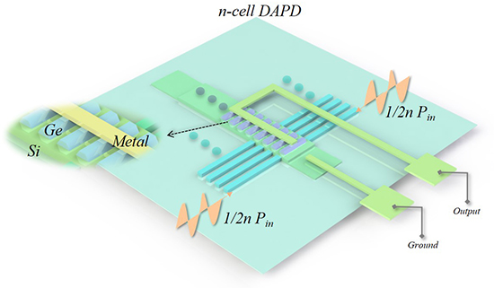 Germanium photodetector with distributed absorption regions - Advances in Engineering