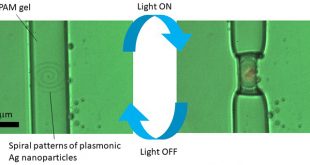 Femtosecond laser writing of plasmonic nanoparticles inside PNIPAM microgels for light-driven 3D soft actuators - Advances in Engineering