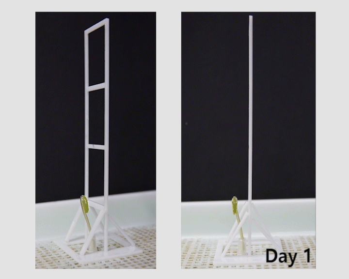 Liquid Alloy based Morphing Electronics: From Plant Physiology Monitoring to Habit Manipulation - Advances in Engineering Liquid Alloy based Morphing Electronics: From Plant Physiology Monitoring to Habit Manipulation - Advances in Engineering