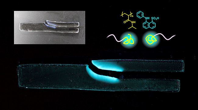 A facile mechanochemical technique to visualize polymer chain breakage in hydrogel - Advances in Engineering