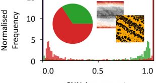 Sifting Self-Organisation: Automated Classification of Nanostructures - Advances in Engineering