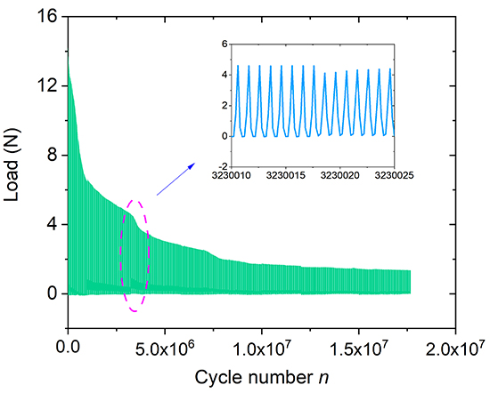 A residual stiffness-based model for the fatigue damage of biological soft tissues - Advances in Engineering