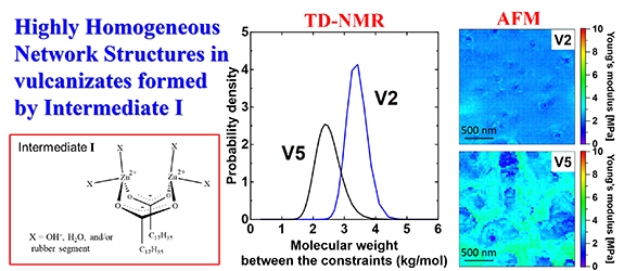 Study on Homogeneity in Sulfur Cross-Linked Network Structures of Isoprene Rubber by TD-NMR and AFM - Zinc Stearate System - Advances in Engineering