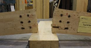 Structural Integrity of Bolted Glulam Frame Connections Reinforced with Self-Tapping Screws in a Column Removal Scenario - Advances in Engineering