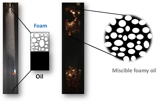 Towards a Pilot Test: Ethoxylated Nonionic Surfactant Foam for CO2 Mobility Control - Advances in Engineering