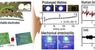 Mechanical durability enhancement of gold-nanosheet stretchable electrodes for wearable human bio-signal detection - Advances in Engineering
