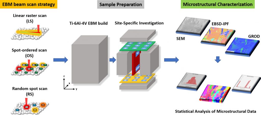 microstructure in additively manufactured Ti64-Advances in Engineering