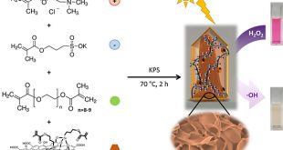Graphene quantum dot-based hydrogels for photocatalytic degradation of organic dyes - Advances in Engineering