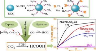 Dopamine/Polyethylenimine-Modified Silica for Enzyme Immobilization and Strengthening of Enzymatic CO2 Conversion - Advances in Engineering