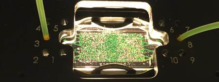 Microfluidics for CO2 foam enhanced oil recovery: reduce research costs by 90% - Advances in Engineering