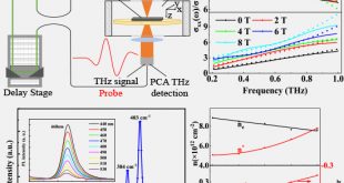 Magneto-optical properties of monolayer MoS2-SiO2/Si structure measured via terahertz time-domain spectroscopy - Advances in Engineering