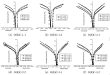 Effect of self-stressing on concrete-encased-steel filled circular CFRP tubes under axial compression - Advances in Engineering