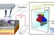 Heterogeneous role of integrins in fibroblast response to small cyclic mechanical stimulus generated by a nanoporous gold actuator - Advances in Engineering