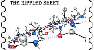 A DFT study of structure and stability of pleated and rippled cross-β sheets with hydrophobic sidechains - Advances in Engineering