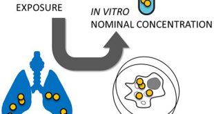 The Use of Nanomaterial In Vivo Organ Burden Data for In Vitro Dose Setting - Advances in Engineering