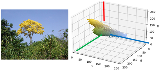 Wireless floating microelectrode array (WFMA) used in this study.