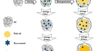 Sodium caseinate particles with co-encapsulated resveratrol and epigallocatechin-3-gallate for inhibiting the oxidation of fish oil emulsions - Advances in Engineering