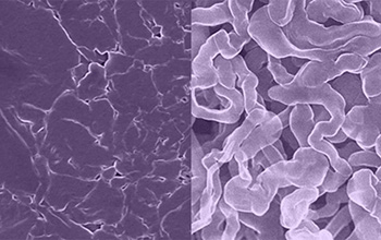 University of Texas at Austin Scientists develop stable sodium battery technology - Advances in Engineering