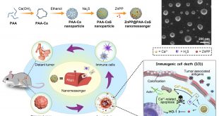 Advances in Engineering-Awaken Antitumor Immunity Nanoparticles Act as Messengers
