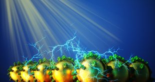 Functionalized gold-nanoparticles enhance photosystem II driven photocurrent in a hybrid nano-bio-photoelectrochemical cell - Advances in Engineering
