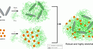 Tough nanocomposite polymer hydrogels using silica and clay nanoparticles as fillers - Advances in Engineering