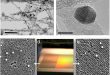 Highly Efficient Water Purification System Made Of Solar Nanowire-Nanotube Filter - Advances in Engineering