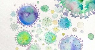Development of nanosensors can distinguish viral from bacterial pathogens - Advances in Engineering