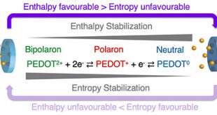 What Drives the Kinetics and Doping Level in the Electrochemical Reactions of PEDOT:PSS? - Advances in Engineering