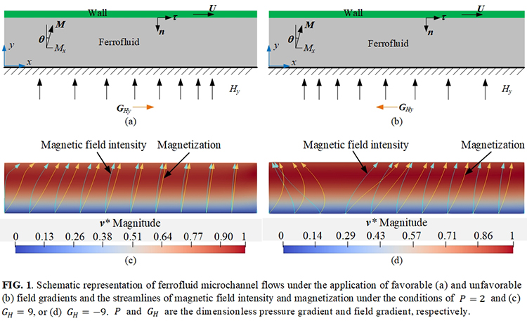 Promotion of ferrofluid microchannel flows by gradient magnetic fields - Advances in Engineering