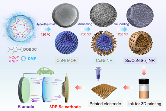 3D-Printed K-Se Battery Enabled by Electrocatalyst Decorated Nanoreactor - Advances in Engineering
