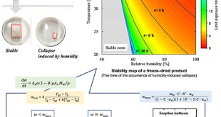 Estimating the shelf life of freeze-dried drugs in vial, and to optimize the storage conditions - Advances in Engineering