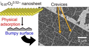 Scission of 2D Inorganic Nanosheets via Physical Adsorption on a Nonflat Surface - Advances in Engineering