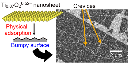 Scission of 2D Inorganic Nanosheets via Physical Adsorption on a Nonflat Surface - Advances in Engineering