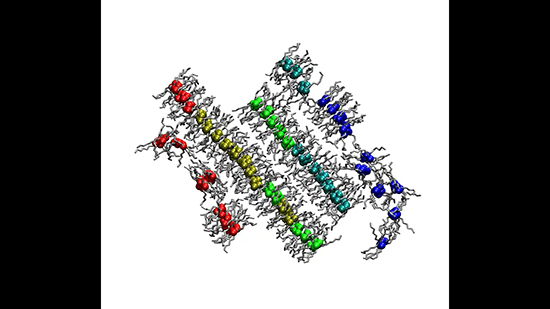 Modeling Poly(3-hexylthiophene) And Related Oligomers With Different ...