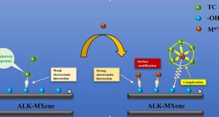 Surface Complexation Enhanced Adsorption of Tetracycline by ALKMXene - Advances in Engineering